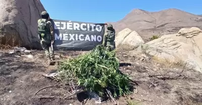Ej�rcito Mexicano