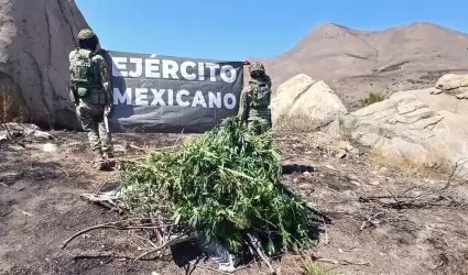 Ej�rcito Mexicano