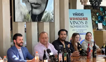 Vi�adas