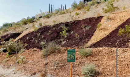 Naci�n Verde