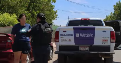 Escuadr�n Violeta