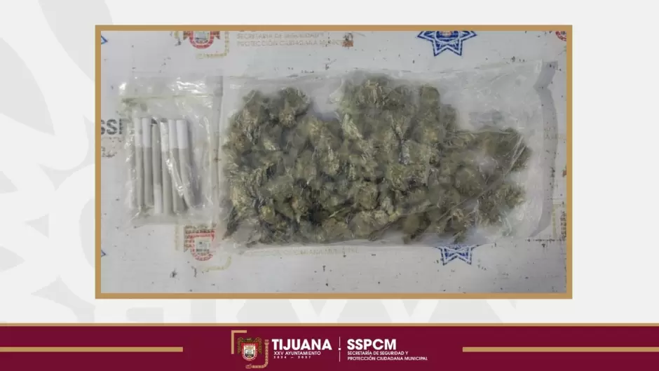 Menores de edad detenidos en posesi�n de droga