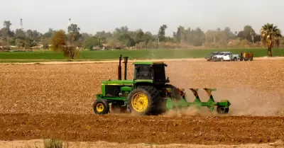 Siembra del Oto�o-Invierno 2025-2026 en el Valle de Mexicali