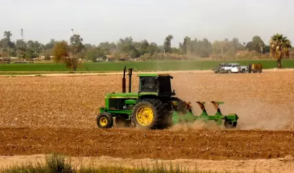 Siembra del Oto�o-Invierno 2025-2026 en el Valle de Mexicali