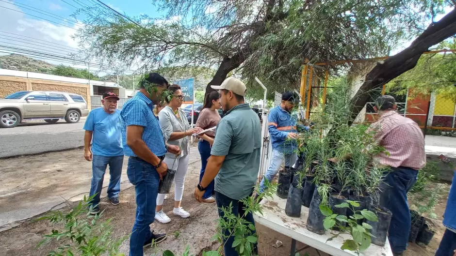 Donaci�n de plantas del programa "Hermosillo Crece Verde"