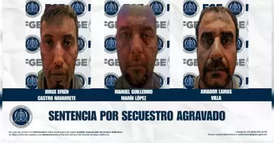 Detenidos