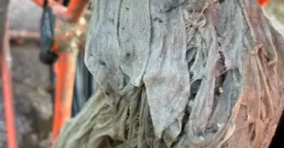 Residuos generan mayor n�mero de afectaciones al sistema de alcantarillado