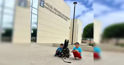 Acompa�amiento con binomio canino