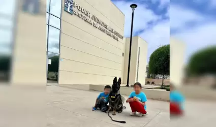 Acompa�amiento con binomio canino