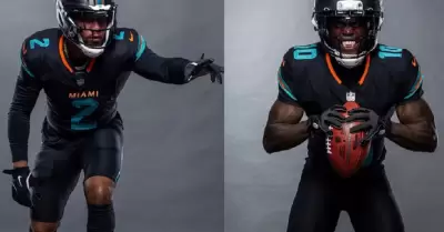 Dolphins de Miami