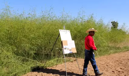 Agricultura