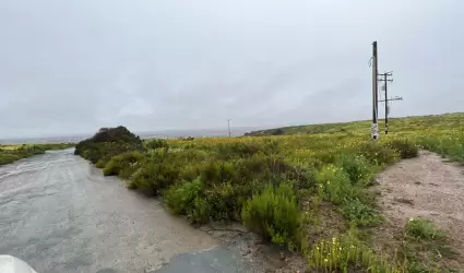 Contaminaci�n en el Valle del R�o Tijuana