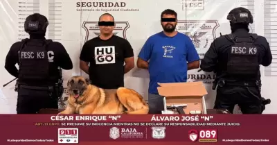 Detenidos