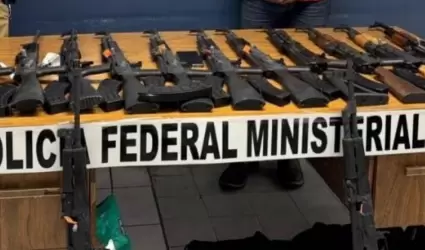 Armas largas
