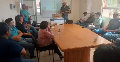 Producci�n de Cereales de Invierno en el Valle de Mexicali