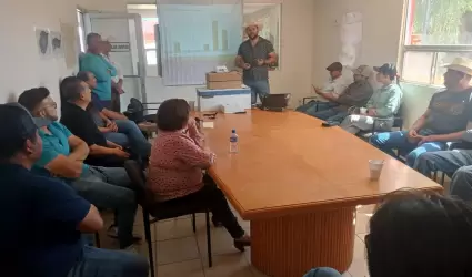 Producci�n de Cereales de Invierno en el Valle de Mexicali