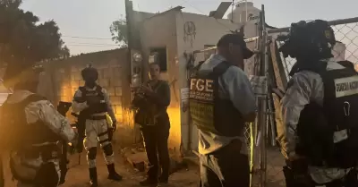 Canino rescatado en Tijuana, v�ctima de maltrato animal