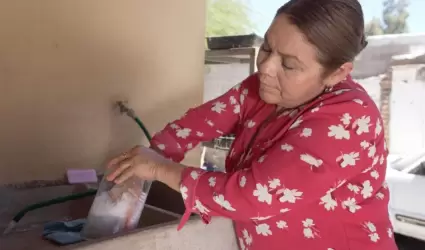 Prevenir la proliferaci�n del dengue