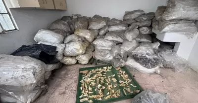 Detenci�n de traficante de animales