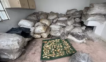 Detenci�n de traficante de animales