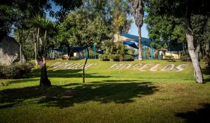 Parque Morelos