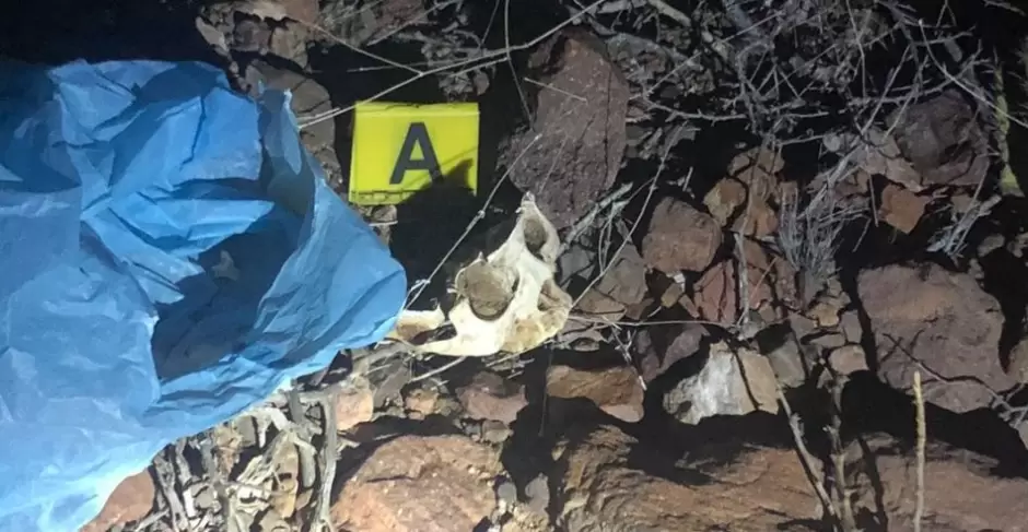 Restos �seos localizados en Punta Chueca en 2024