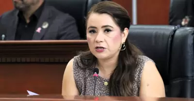 Diputada Alejandra Ang Hern�ndez