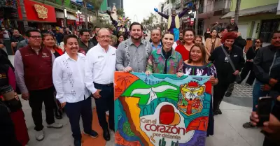 Nuevo andador peatonal de "La Revoluci�n"
