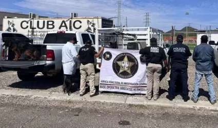 Rescatan a 30 perros en Hermosillo