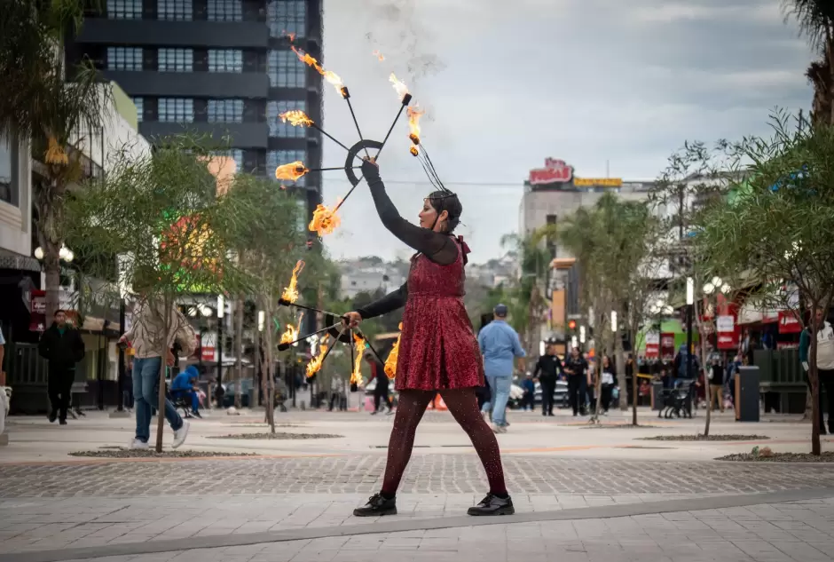 Andador peatonal de la Avenida Revoluci�n