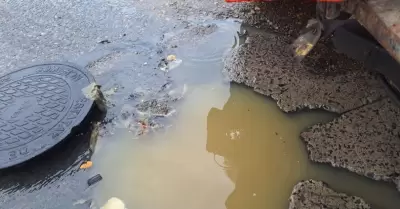 Recomendaciones ante pron�stico de lluvias