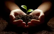 Cool Cities Lab gu�a proyectos de reforestaci�n contra islas de calor en Hermosillo