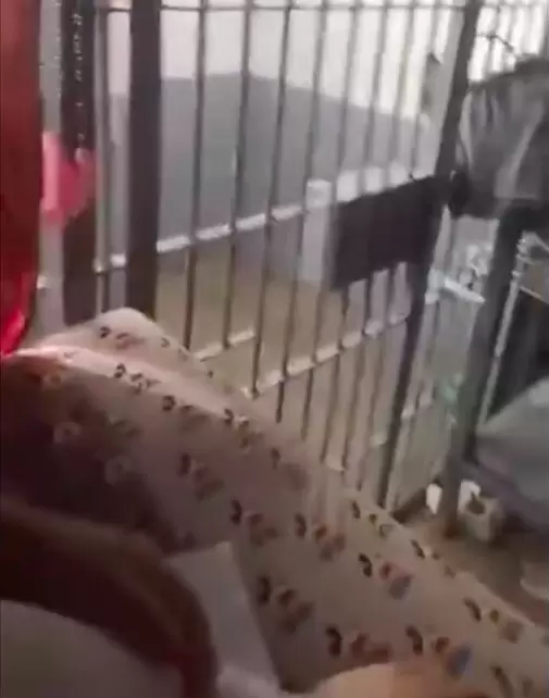 Penal de Tijuana