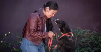 Rescate y la adopci�n de mascotas