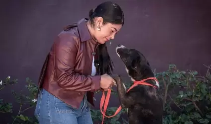 Rescate y la adopci�n de mascotas