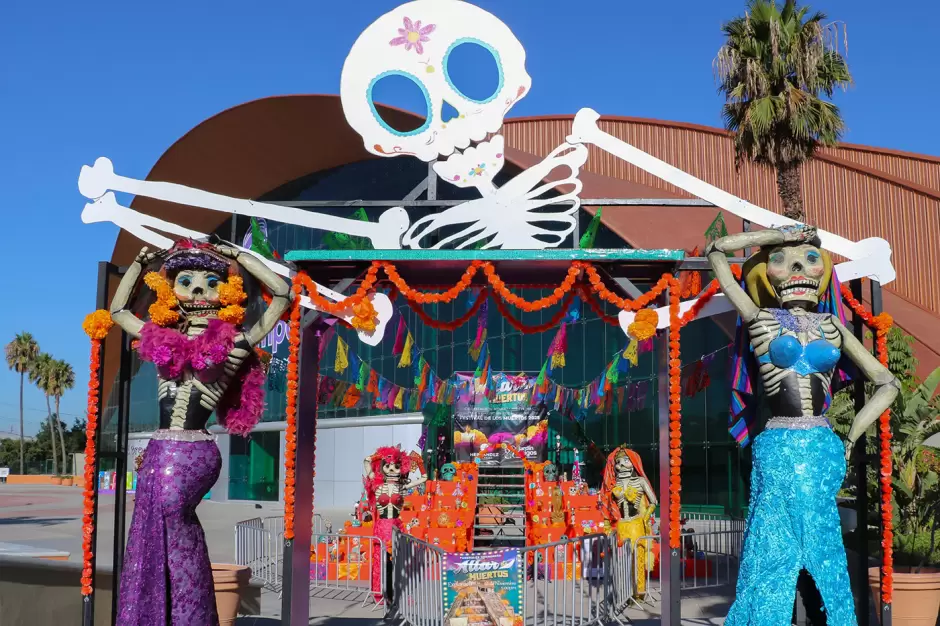 El Trompo D�a de Muertos