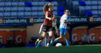 Xolos