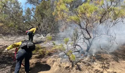 Incendios
