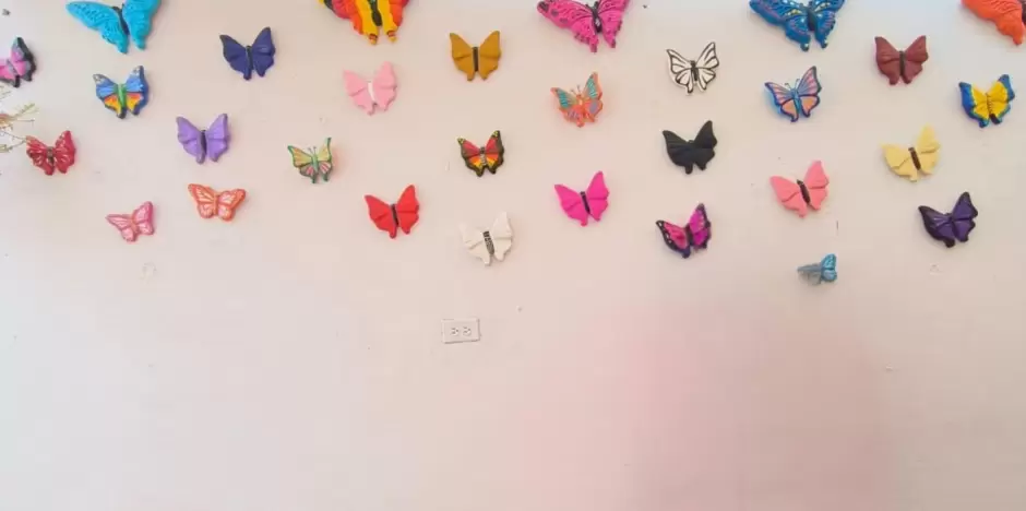 Irene cre� el grupo de soporte emocional "Mariposas"