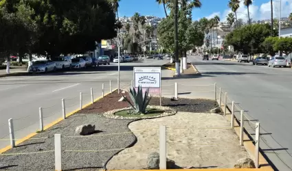 Adopta un Espacio