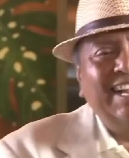 To�o Peregrino