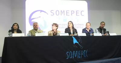Ecosistema marino