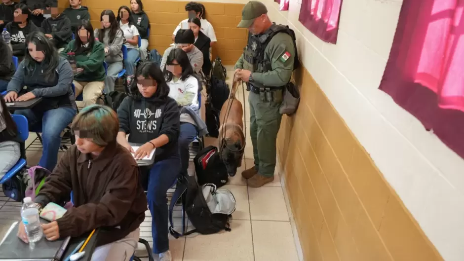Programa de revisi�n preventiva en plantel educativo