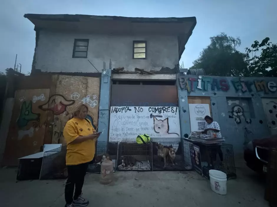 Manifestaci�n contra agresor que con machete golpeaba a perritos