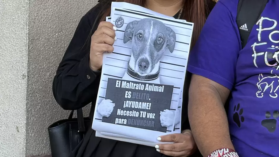Manifestaci�n contra agresor que con machete golpeaba a perritos