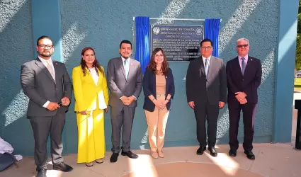 Unison Medicina