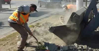 Seguridad vial