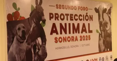 Foro de Protecci�n y Bienestar Animal Sonora