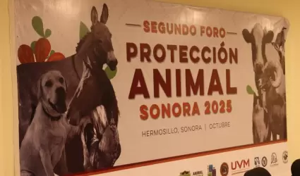 Foro de Protecci�n y Bienestar Animal Sonora