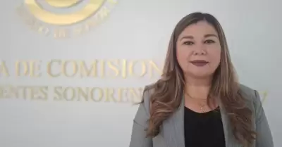Diputada del Partido del Trabajo, Jazm�n G�mez